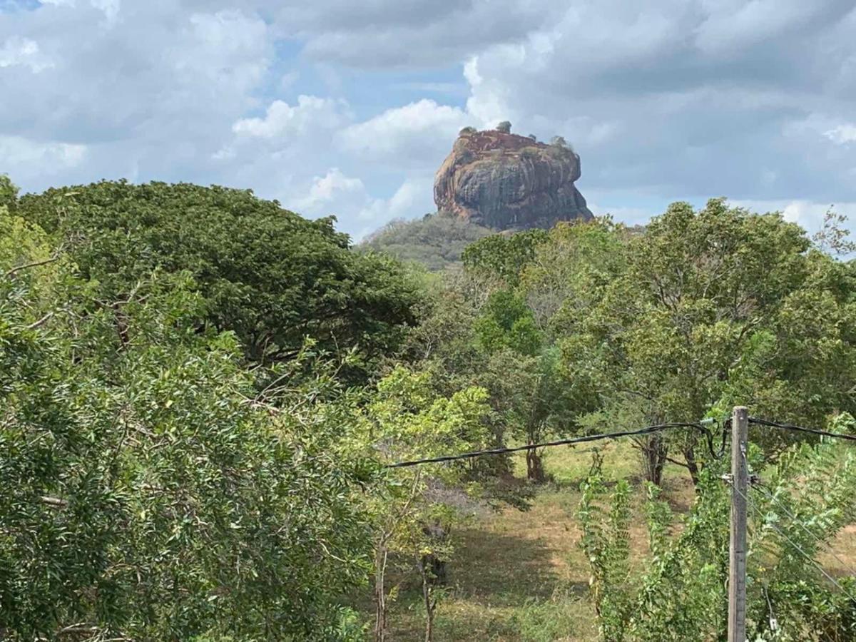 Sigiriya Rock Hide Hotel Exterior foto