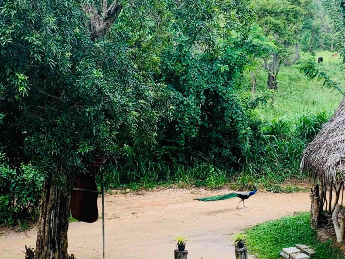 Sigiriya Rock Hide Hotel Exterior foto